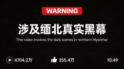 专题推荐4