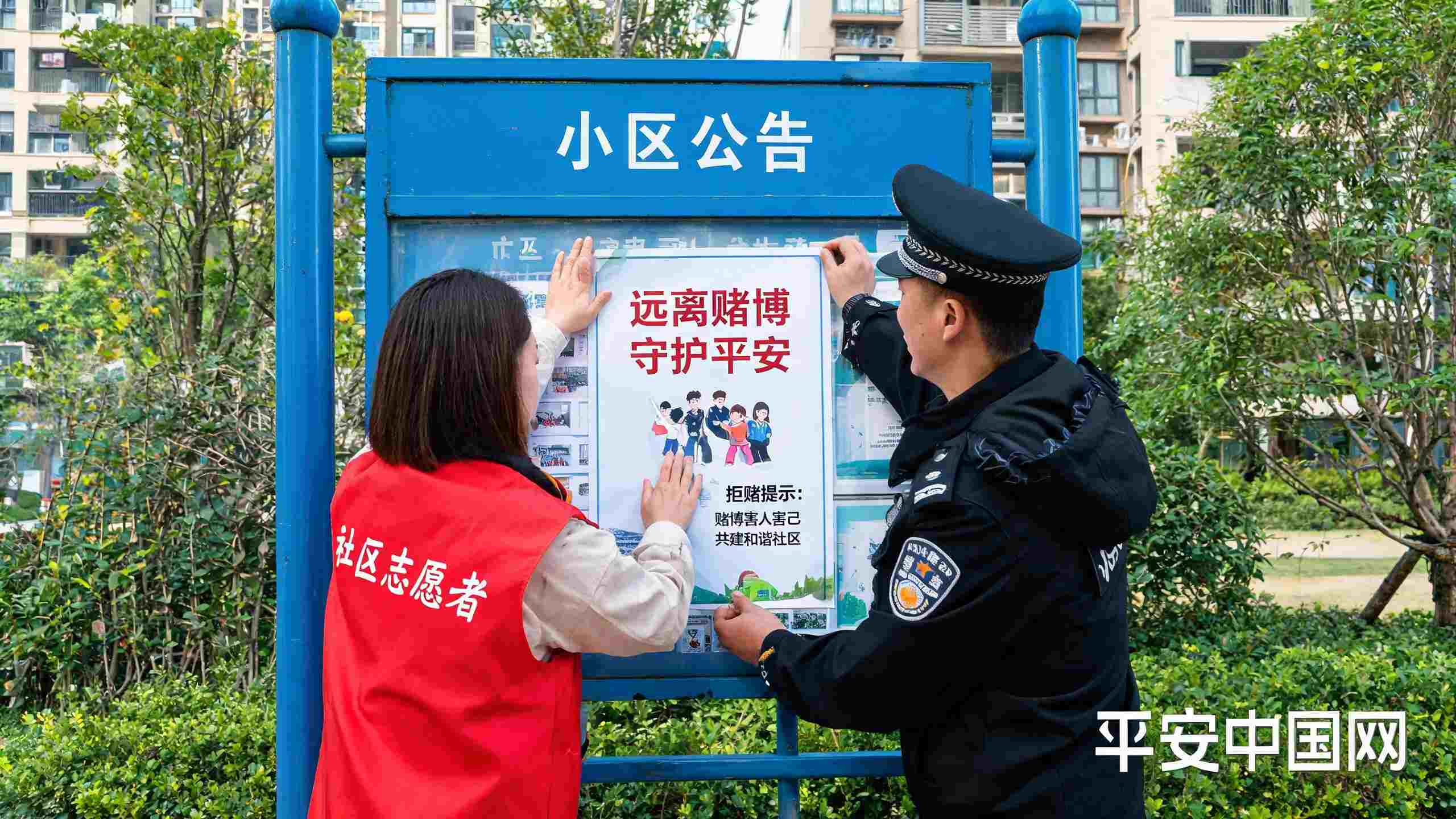 网络赌博乱象根治全指南
